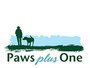 Paws Plus One