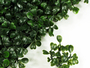 Artificial boxwood hedge