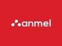 Anmel Solutions