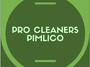 Pro Cleaners Pimlico