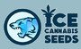 ICE Cannabis Seeds